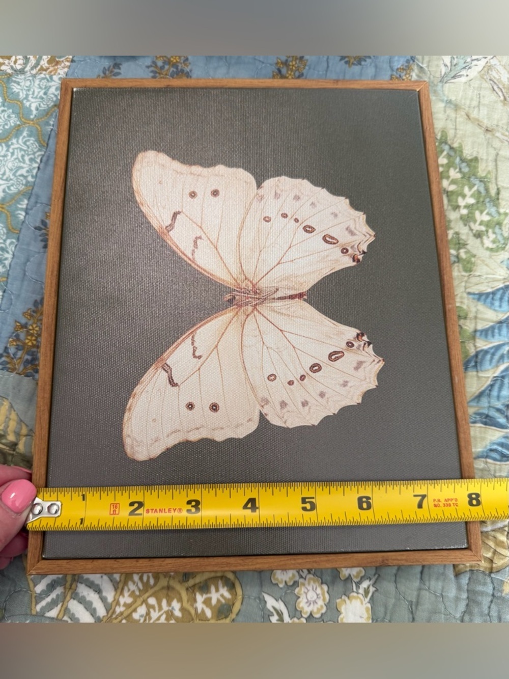 Vintage White Butterfly Canvas - Picture 4 of 6